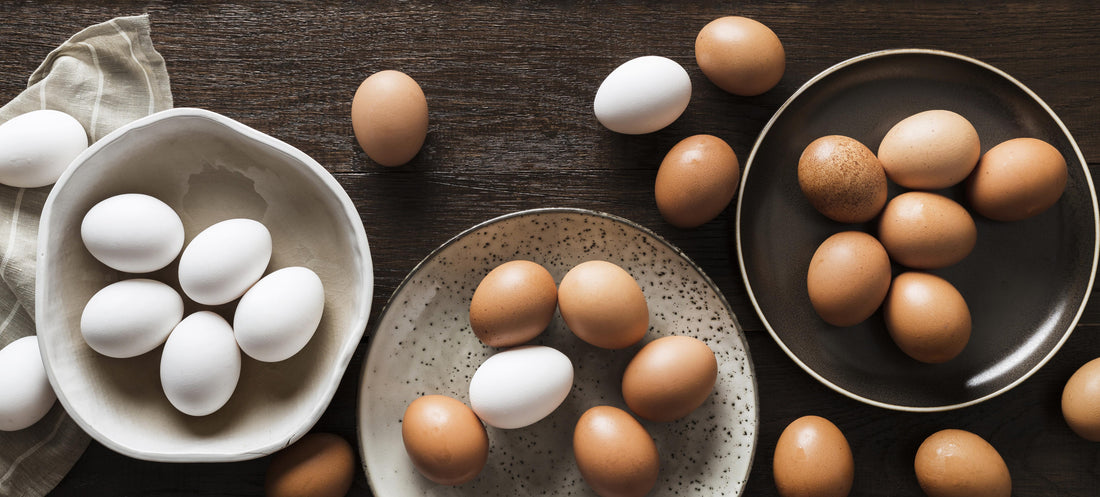 Unlocking the Power of Eggsy: Why Eggs are Essential for Your Daily Diet