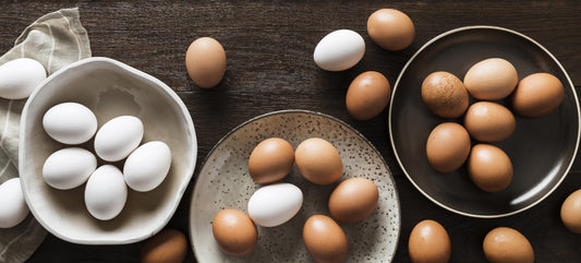 Unlocking the Power of Eggsy: Why Eggs are Essential for Your Daily Diet