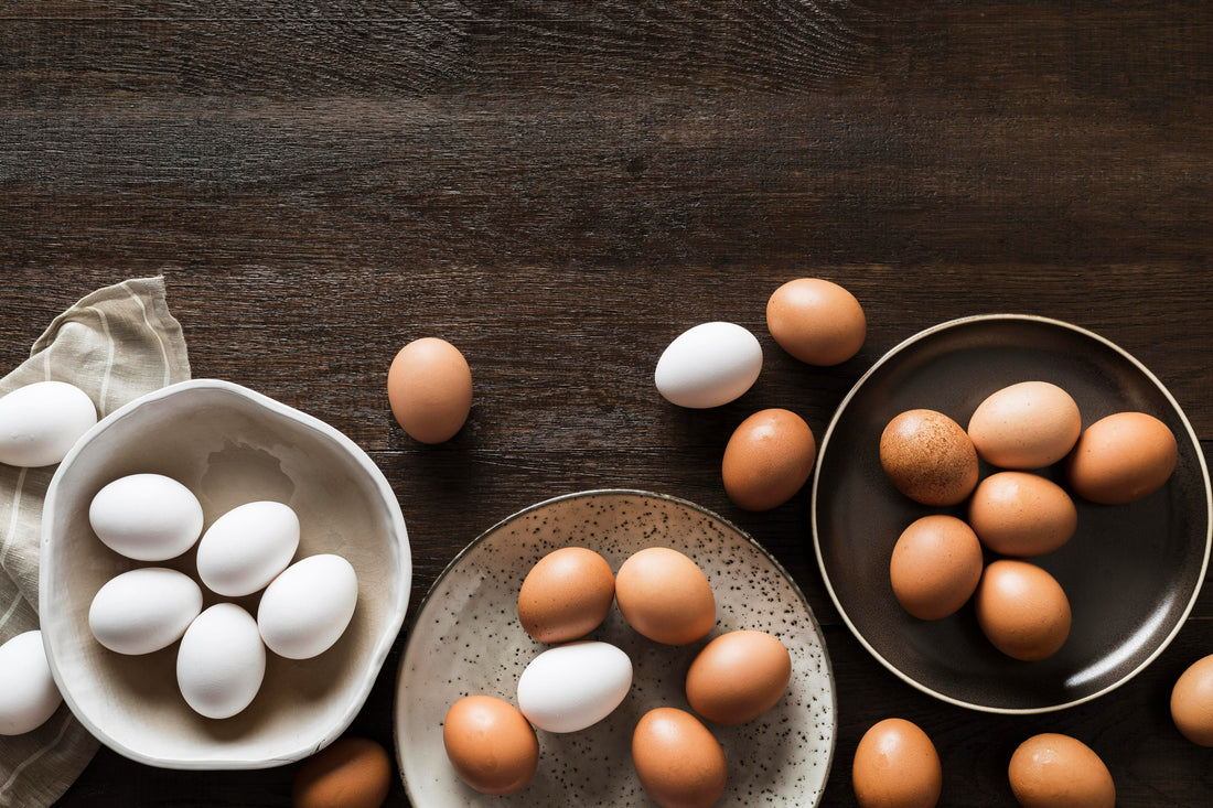 ⁠Difference between brown and white eggs