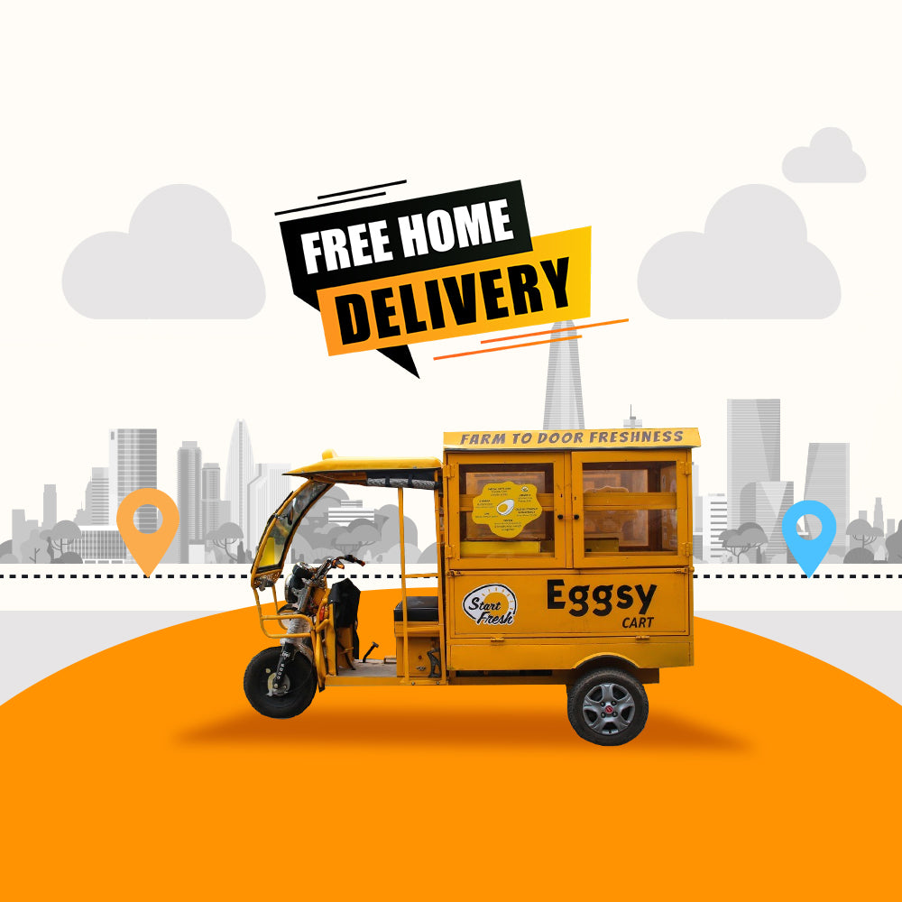 Omega-3 Enriched Organic Eggsy Browns