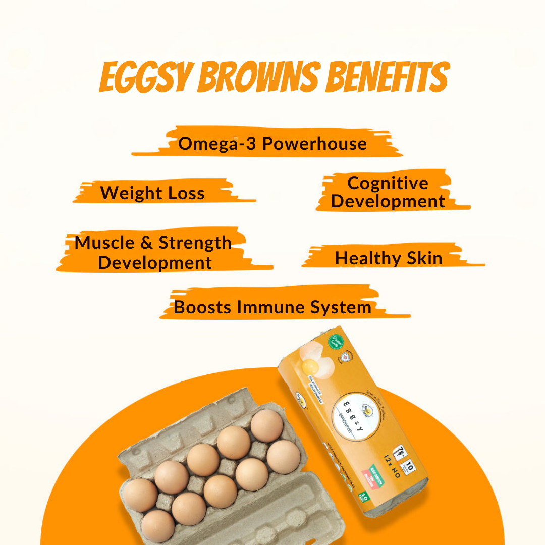 Omega-3 Enriched Eggsy Browns (Pack of 10 Eggs)